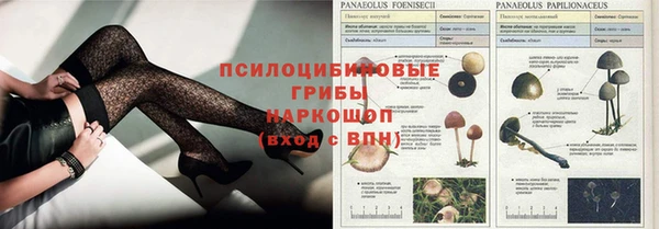 индика Наволоки