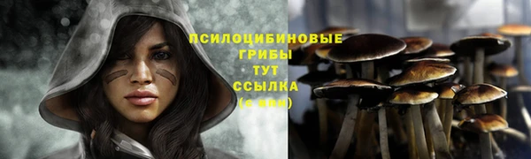 эйфоретик Навашино