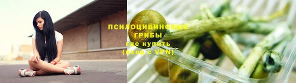 индика Наволоки