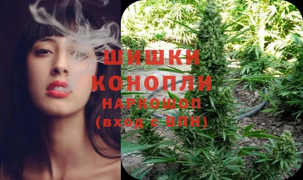 индика Наволоки