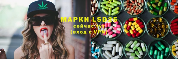 индика Наволоки