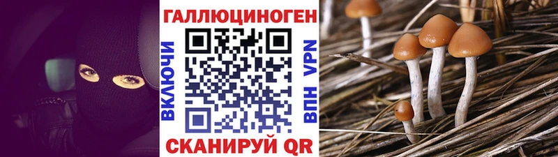 купить закладку  Шарыпово  Галлюциногенные грибы GOLDEN TEACHER 